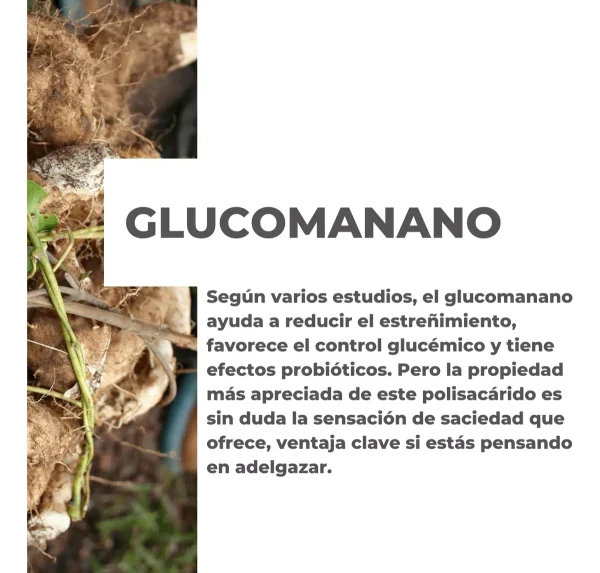 Detox Orgánico – Elimina Toxinas y Acelera tu Metabolismo - Imagen 10