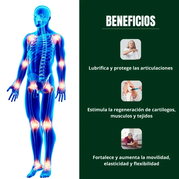 Helix Articulaciones - Suplemento Natural para la Salud Articular - Imagen 3