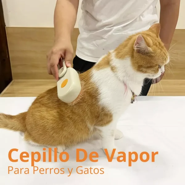 Cepillo Para Mascotas A Vapor Recargable - Imagen 3