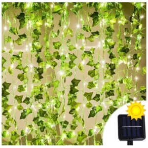 Enredadera Hojas Solares